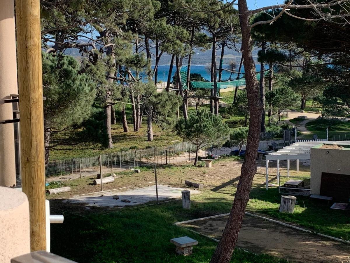 T2 Neuf Bord De Plage - Terrasse - Calvi Appartement *