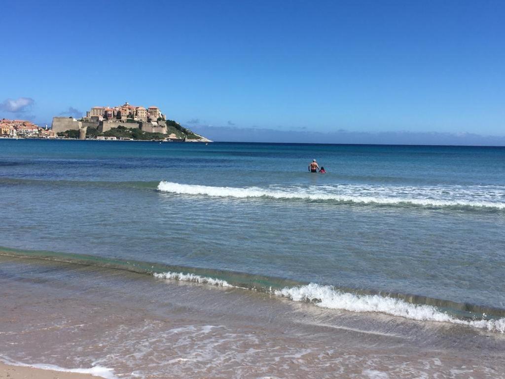 Appartement T2 Neuf Bord De Plage - Terrasse - Calvi *